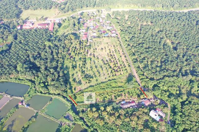 Freehold Non Bumi Land Kg Baru Linsum Rantau Seremban For Sale 2