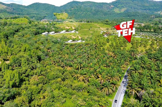 1 acre Vacant Land | Main Road Junjong | Kulim | Kedah 1