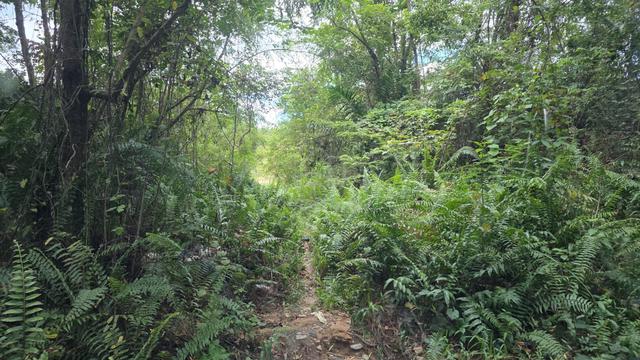 Semenyih Jalan Sungai Lalang 5.1 acres Agricultural Land 1