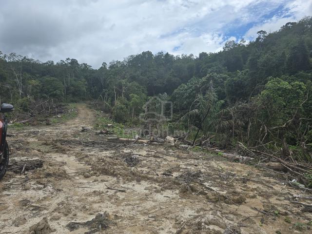 1.8 ekar terachi kuala pilah 1