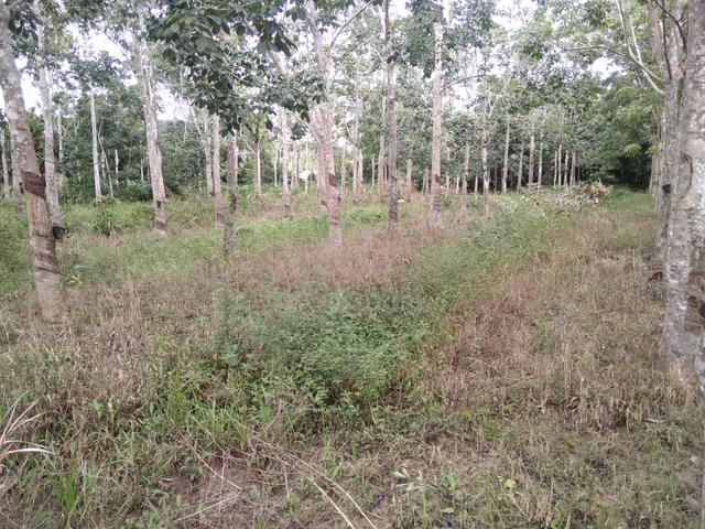 Tanah tepi lubuh sireh 1