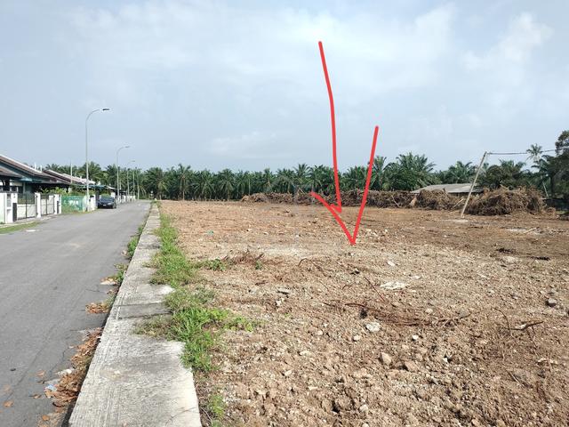 Lot Banglo Murah, Di Kg Bkt Pelandok, Jimah, PD 1