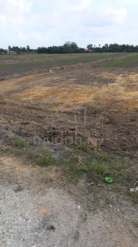tanah 2ekar ingin dijual 1