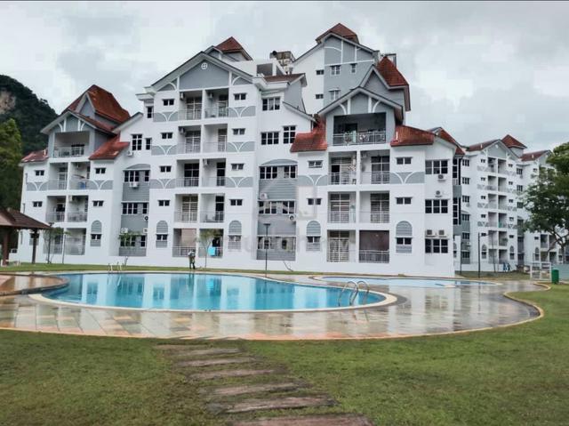 Alpine Village Apartment 1