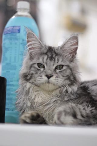 Carousel Image