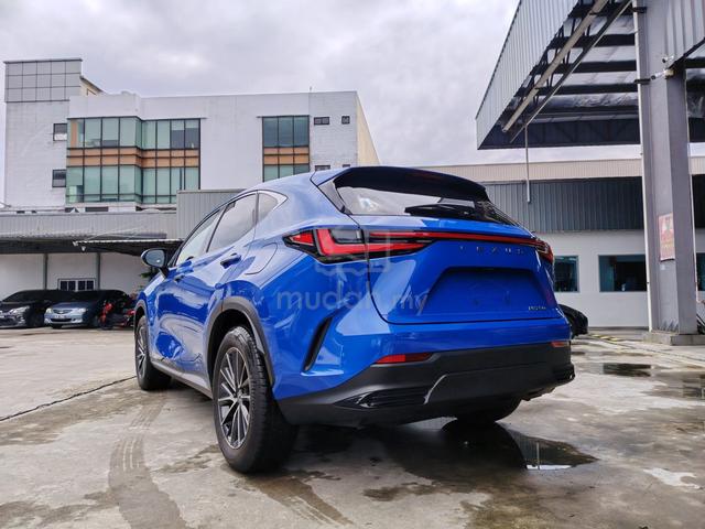 2023 Lexus NX250 2.5 BASE GRADE (A) GRADE 4.5B - 4
