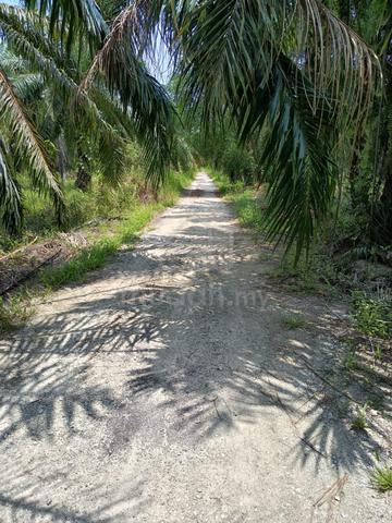 Tanah Untuk Dijual di Bagan Terap 1