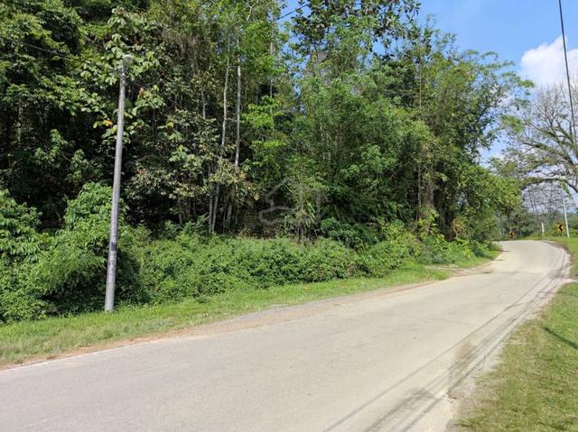 Tanah Tepi Jalan Tanah Pertanian 1.5 ekar 1