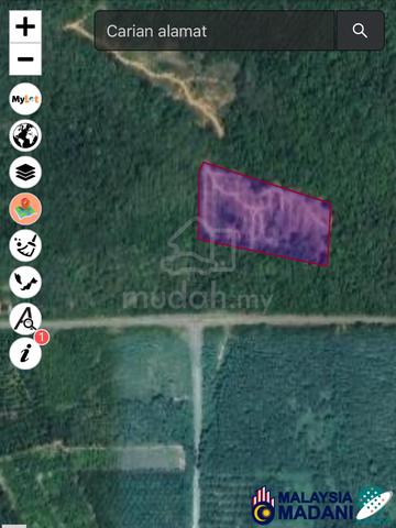Tanah Pertanian tepi jalan Jambatan Sg Perak Bukit Sapi Lenggong 3