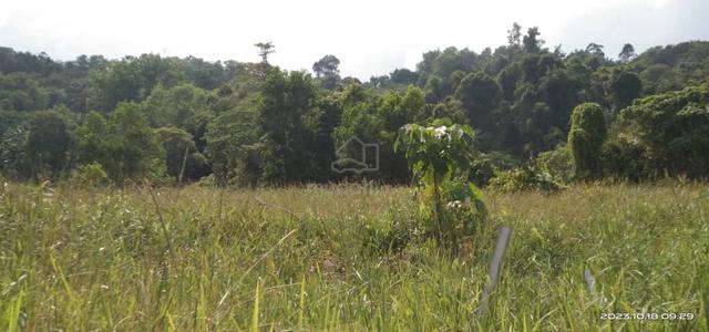 Industrial Empty Land @ Sandakan 4