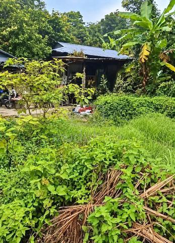 TANAH LOT 5,417 Sqft FREEHOLD OPEN – TELUK KUMBAR PENANG 1
