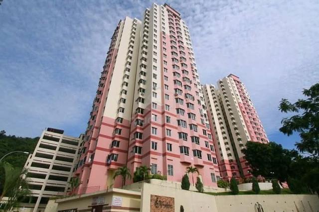 Kingfisher Series Penang for rent 1