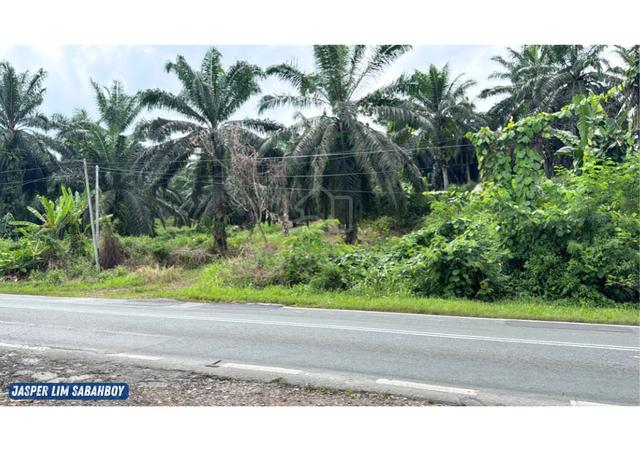 Tingkayu - Lahat Datu Highway Oil Palm 🌴 1