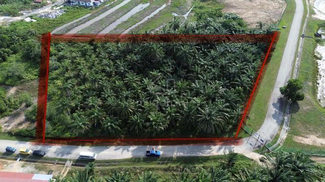 Tanah Pertanian Zoning Kediaman Bandar Baru Salak Tinggi 1