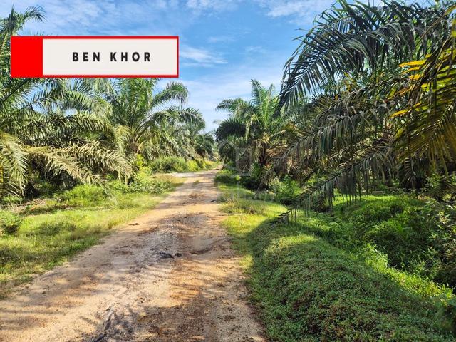 19 Relung | Agricultural land | kuala selama | Kedah 1