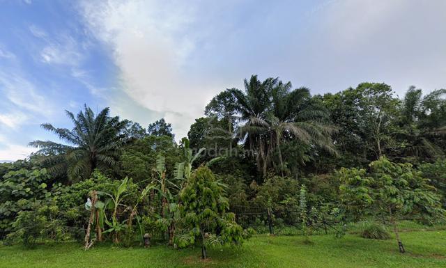 Kulai Matured Area 32 Acre Zoning Residential Land For Housing Develop 1