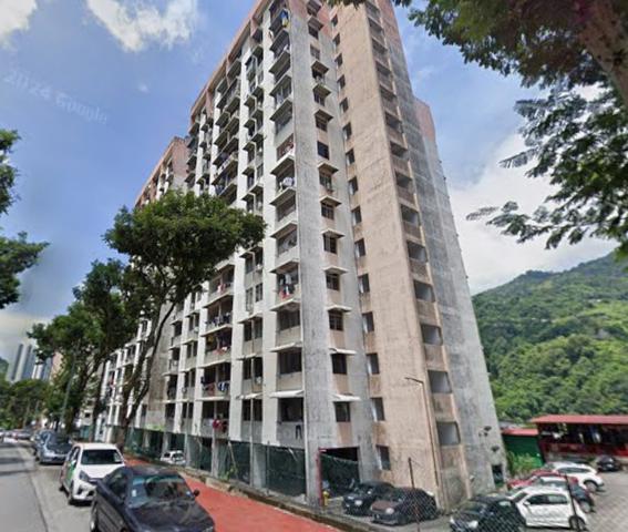 Taman Terubong Jaya 1