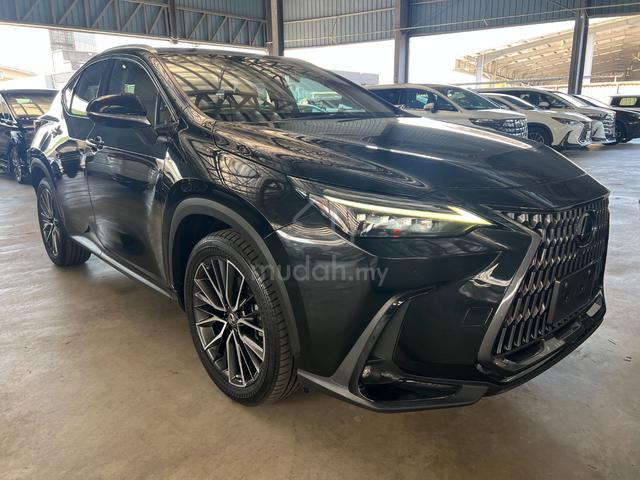 2023 Lexus NX250 2.5 LUXURY (A) HUD BSM 4CAM SROOF - 1