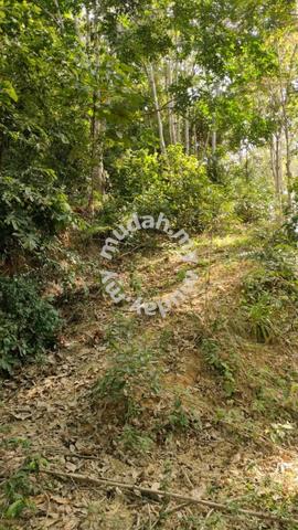 UNTUK DIJUAL Tanah Lot Pertanian Area Juasseh Kuala Pilah NS 3