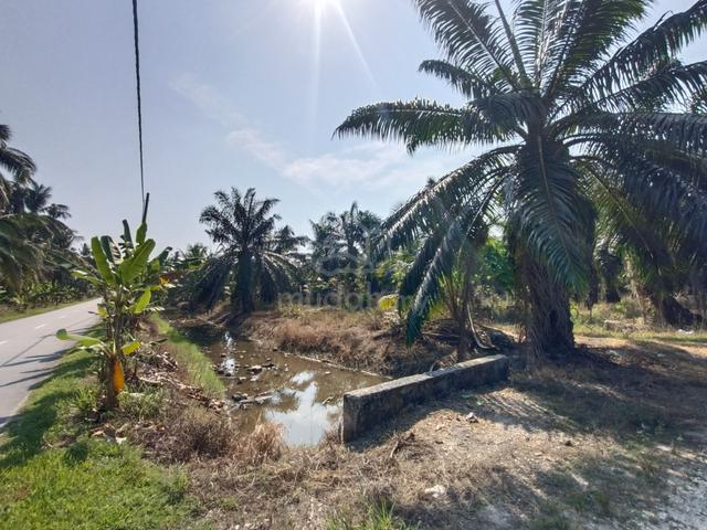 MURAH Tanah Sawit 5 Ekar Kampung Tebuk Mufrad Sabak Bernam 4