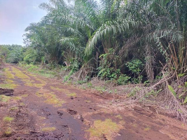 Sijangkang Flat Land Telok Panglima Garang, 📌2.04 Acres 1