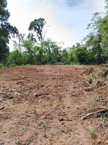 Tanah Untuk Di Jual 1