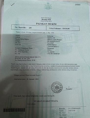 Tanah untuk dijual 1