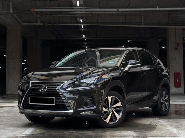 2018 Lexus NX 300 2.0 PREMIUM (A) RED INTERIOR - 2