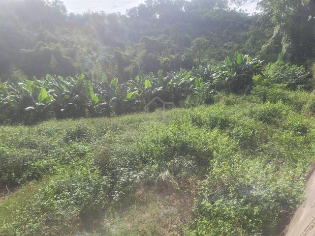 Agriculture land for sale, Bedong, kuala muda, Kedah 2