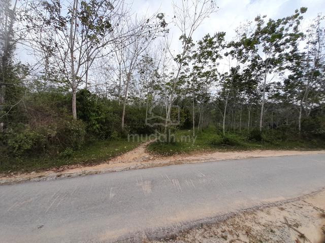 [2Ekar Boleh Masuk 6Nama] Kebun Getah Tepi Minitar Carok Tok Uban 2