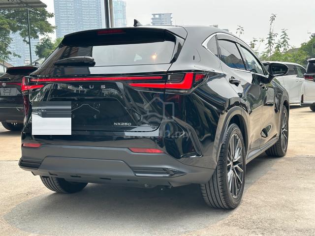 2022 Lexus NX250 2.5 LUXURY (A) - 5