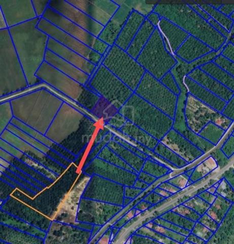 [Freehold] Tanah Pertanian Bota untuk dijual 1