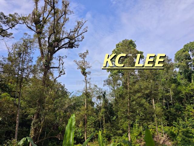 8.1Acres High Mountain Durian Orchard @ Junjong , Kedah 1