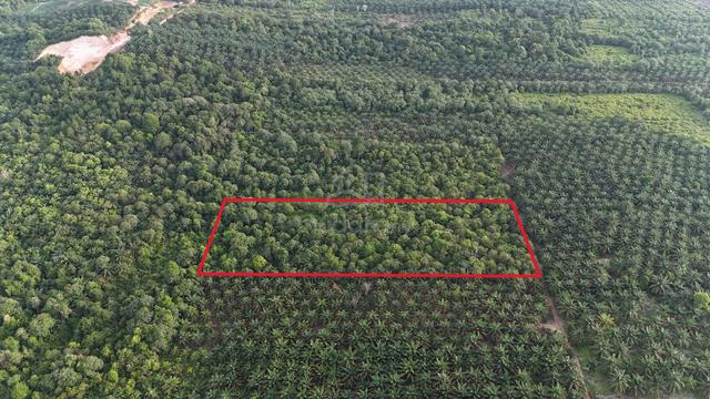 FREEHOLD TANAH KEBUN 3 Ekar di Olak Batu, Yong Peng [MURAH] 1