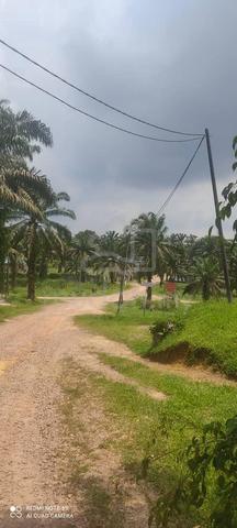↔️INTERNATIONAL LAND FOR SALE | PALOH Kluang 3