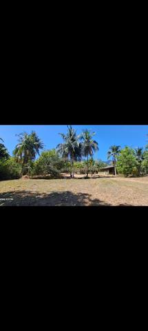 Tanah pertanian kg kilim langkawi 1