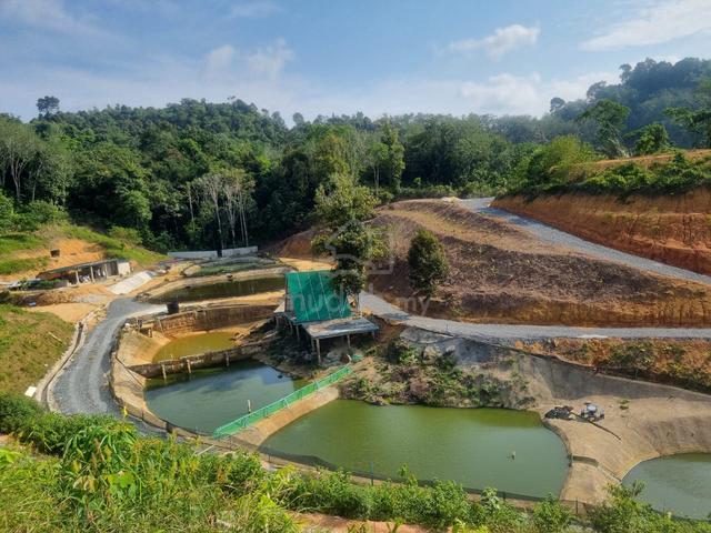 Tanah pelaburan 6.2 ekar di kerteh 1