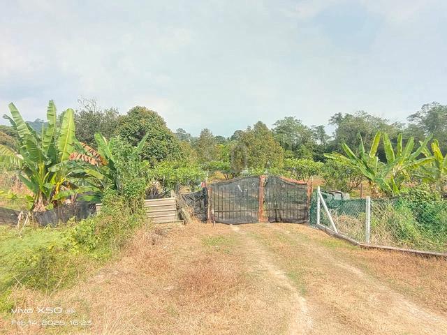 Kuala Sawah, Agricultural Land, Kuala Sawah, Rantau, Seremban, N9 1