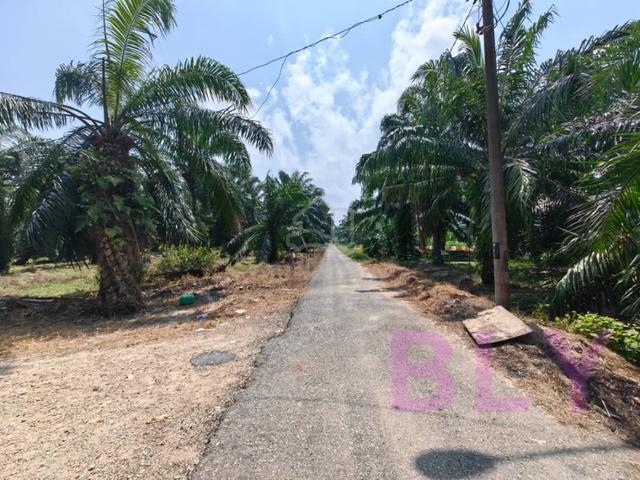 Kelanang Banting Kuala Langat 2.6 Acres Argiculture Land for sale 🌱🌱 1