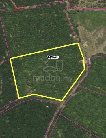 A piece of agricultural Land, Ulu Kalumpang, Jalan Bukit Mull, Tawau 1