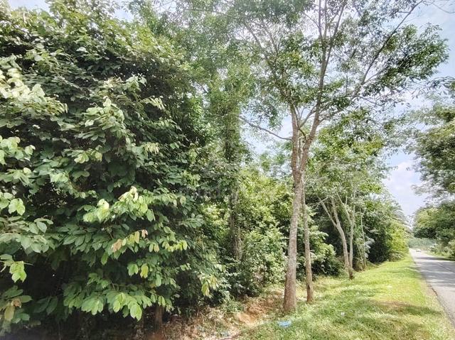 Agricultural Land For Sale 1