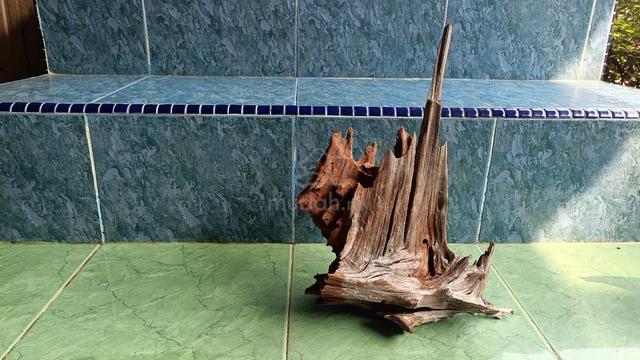 aquascape driftwood untuk tank 30cm - photo 2 of 2