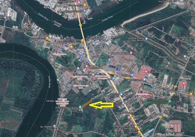 Johor Endau Agricultural Freehold Land For Sale 1