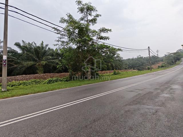Main Road Freehold Agriculture Land Kesang, Jasin Melaka 1
