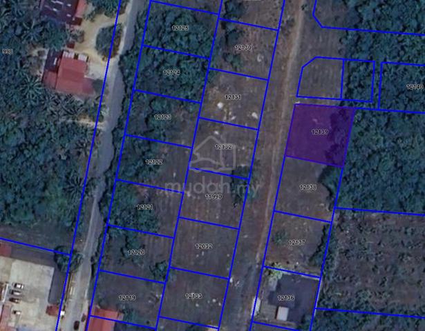 Tanah Freehold Nonbumilot di Chetok Kelantan 1