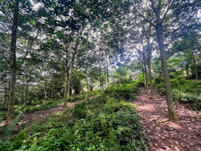 Tanah Kebun Getah Batu Anam Buloh Kasap Segamat 1