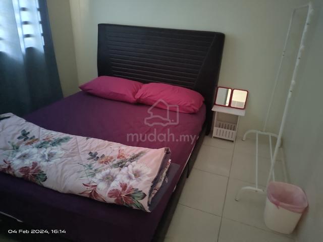 [Fully Furnished,Banyak Kedai] Rumah Sewa Kg Padang 4