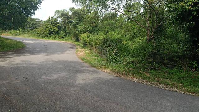 Tanah Rezab Melayu 6 ekar tepi jalan kg area Air Kuning N9 1