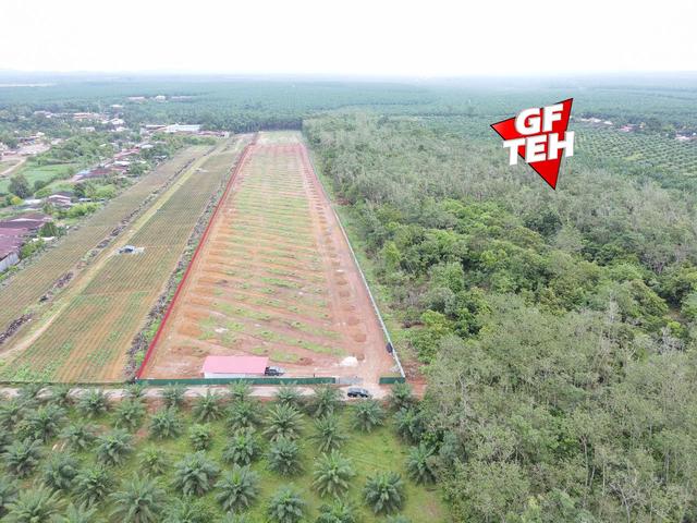 8.45 acre Residential Land | Naga Lilit | Kulim |Kedah b 1