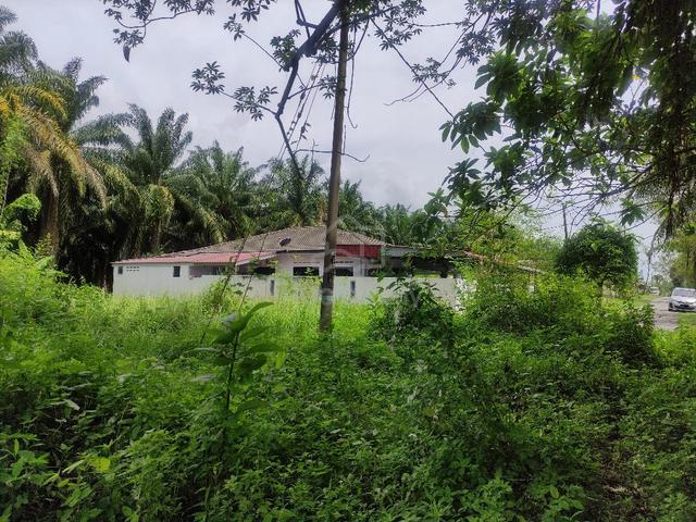 Tanah Lot Kediaman untuk dijual di RPT Kg. Veerasamy (Chemor), Perak 5